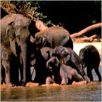Sri Lanka Classic Tour