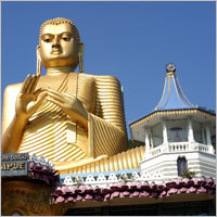 Grand Tour Of Sri Lanka