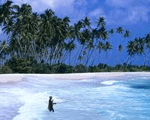 Beaches
