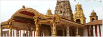 A Seven Day Taste of Sri Lanka