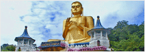 Sri Lanka Honeymoon Package