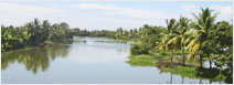 Short Tour Package to Sri Lanka