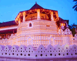 Temple of Tooth