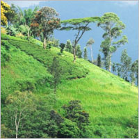 7 day trip to Sri Lanka